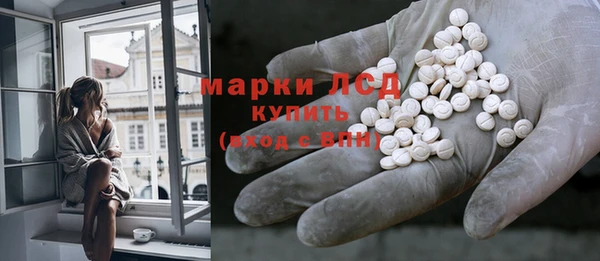 мдпв Новозыбков
