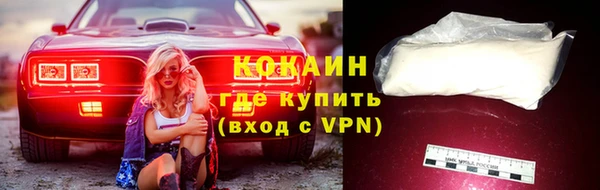 мдпв Новозыбков