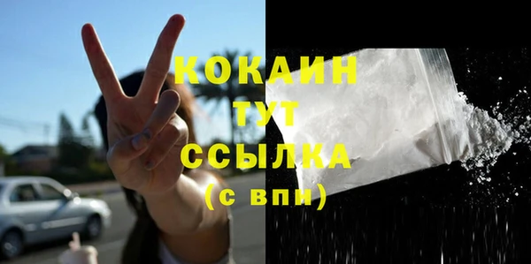 мдпв Новозыбков