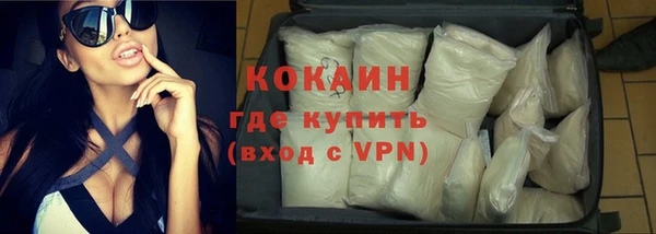 мдпв Новозыбков