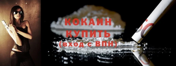 мдпв Новозыбков