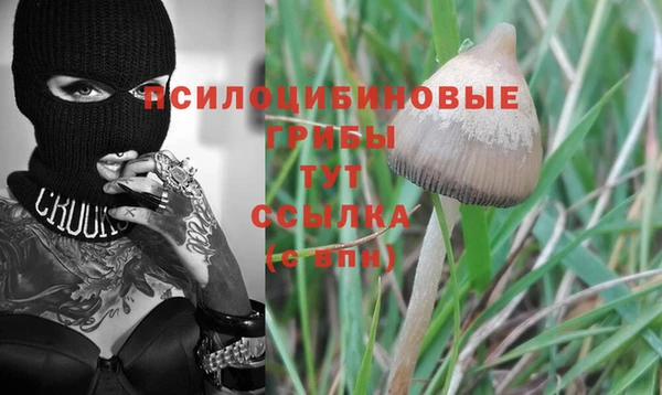 мдпв Новозыбков