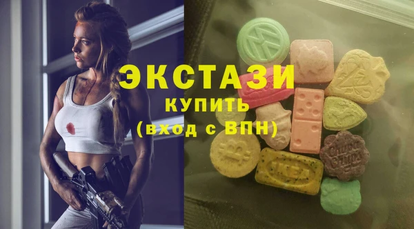 мдпв Новозыбков