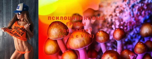 кокс Нягань