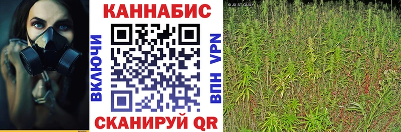 блэк спрут вход  Киселёвск  darknet клад  Каннабис AK-47 